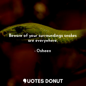  Beware of your surroundings snakes are everywhere.... - Osheen - Quotes Donut