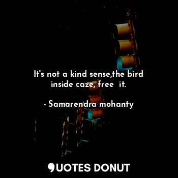  It's not a kind sense,the bird inside caze, free  it.... - Samarendra mohanty - Quotes Donut