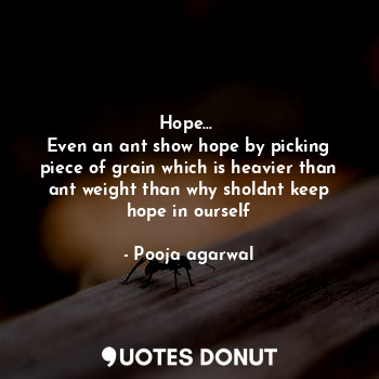 Hope... 
Even an ant show hope by picking piece of grain which is heavier than ant weight than why sholdnt keep hope in ourself