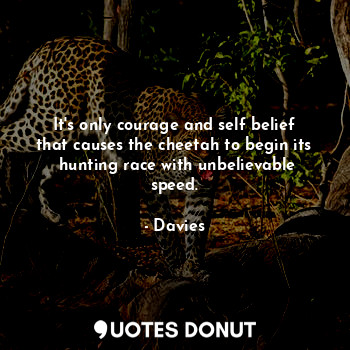 It's only courage and self belief that causes the cheetah to begin its  hunting race with unbelievable speed.