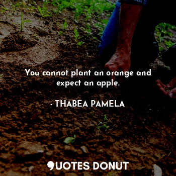 You cannot plant an orange and expect an apple.