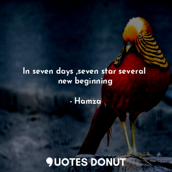  In seven days ,seven star several  new beginning... - Hamza - Quotes Donut
