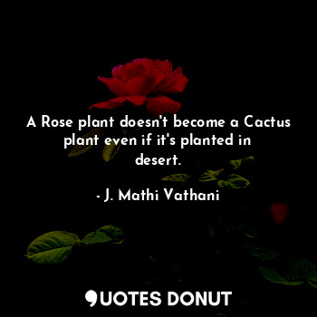  A Rose plant doesn't become a Cactus plant even if it's planted in desert.... - J. Mathi Vathani - Quotes Donut