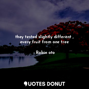  they tested slightly different ,
every fruit from one tree... - Robin oto - Quotes Donut