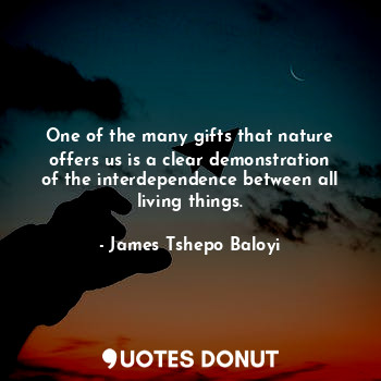 One of the many gifts that nature offers us is a clear demonstration of the interdependence between all living things.