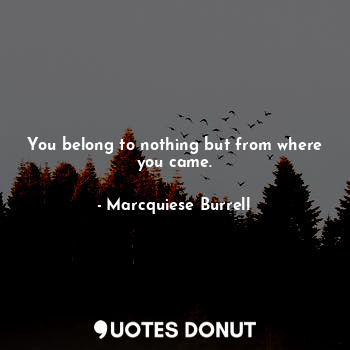  You belong to nothing but from where you came.... - Marcquiese Burrell - Quotes Donut