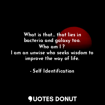  What is that... that lies in bacteria and galaxy too.
Who am I ? 
I am an unwise... - Self Identification - Quotes Donut