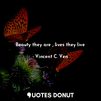 Beauty they are , lives they live