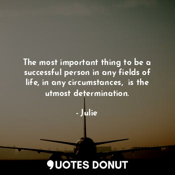  The most important thing to be a successful person in any fields of life, in any... - Stephen Alex - Quotes Donut