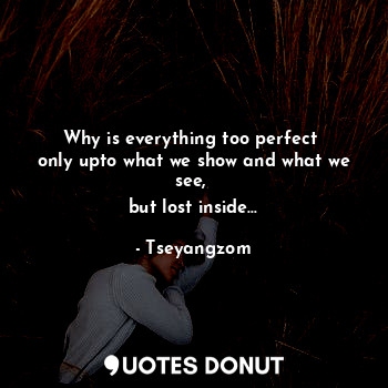 Why is everything too perfect 
only upto what we show and what we see, 
but lost inside...