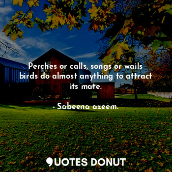 Perches or calls, songs or wails birds do almost anything to attract its mate.