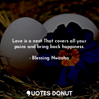  Love is a nest That covers all your pains and bring back happiness.... - Blessing Nwaoha - Quotes Donut