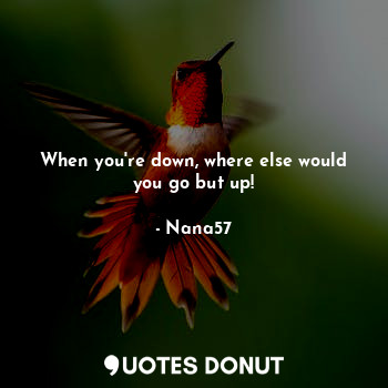 When you're down, where else would you go but up!