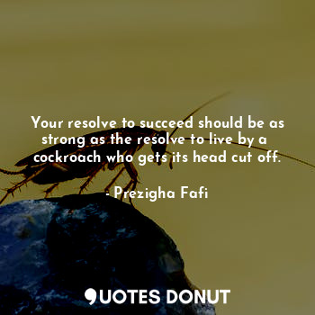 Your resolve to succeed should be as strong as the resolve to live by a  cockroach who gets its head cut off.