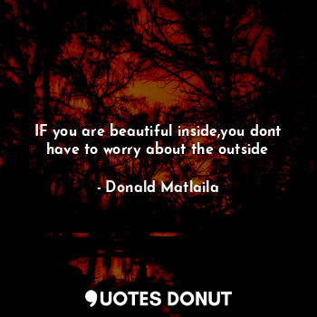  IF you are beautiful inside,you dont have to worry about the outside... - Donald Matlaila - Quotes Donut