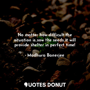 No matter how difficult the situation is..sow the seeds..it will provide shelter in perfect time!
