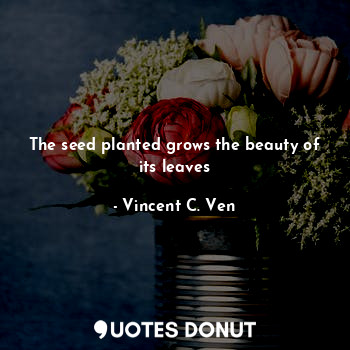  The seed planted grows the beauty of its leaves... - Vincent C. Ven - Quotes Donut