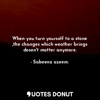  When you turn yourself to a stone ,the changes which weather brings dosen't matt... - Sabeena azeem. - Quotes Donut