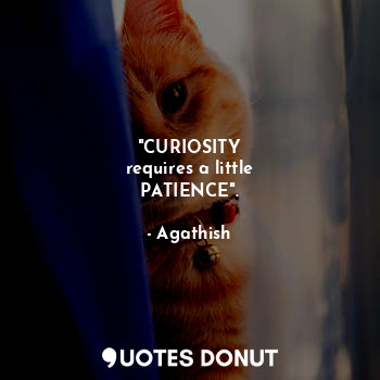  "CURIOSITY
requires a little
PATIENCE".... - Agathish - Quotes Donut