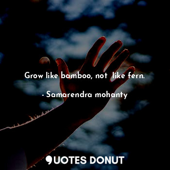 Grow like bamboo, not  like fern.