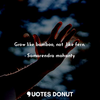  Grow like bamboo, not  like fern.... - Samarendra mohanty - Quotes Donut