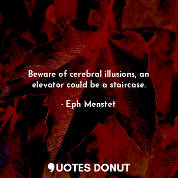 Beware of cerebral illusions, an elevator could be a staircase.
