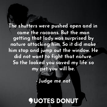  The shutters were pushed open and in came the racoons. But the man getting that ... - Judge me not - Quotes Donut