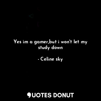 Yes im a gamer,but i won't let my study down