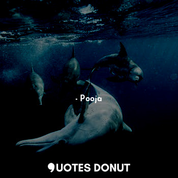  हम... - Pooja - Quotes Donut