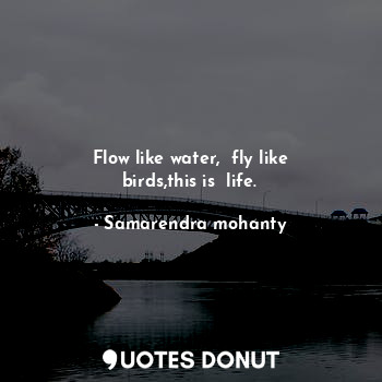 Flow like water,  fly like birds,this is  life.