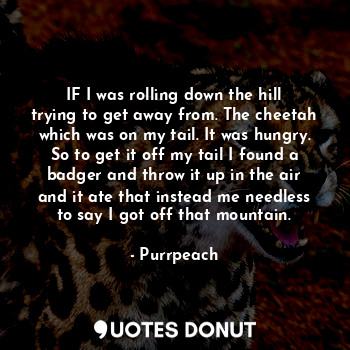  IF I was rolling down the hill trying to get away from. The cheetah which was on... - Purrpeach - Quotes Donut