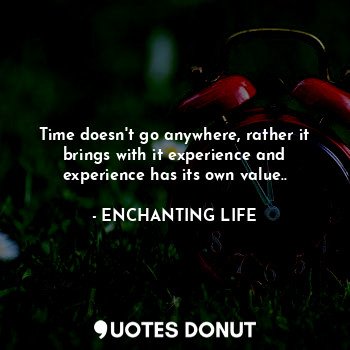 Time doesn't go anywhere, rather it brings with it experience and experience has its own value..