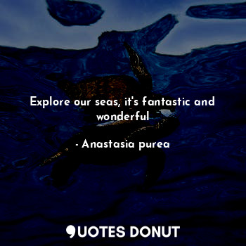 Explore our seas, it's fantastic and wonderful