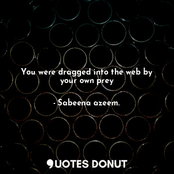  You were dragged into the web by your own prey... - Sabeena azeem. - Quotes Donut
