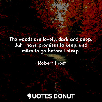 The woods are lovely, dark and deep.
But I have promises to keep, and miles to go before I sleep.