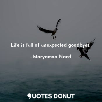  Life is full of unexpected goodbyes.... - Maryamaa Nacd - Quotes Donut