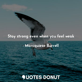  Stay strong even when you feel weak... - Marcquiese Burrell - Quotes Donut