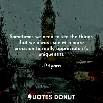  Sometimes we need to see the things that we always see with more precision to re... - Priyara - Quotes Donut