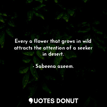 Every a flower that grows in wild attracts the attention of a seeker in desert.