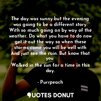  The day was sunny but the evening was going to be a different story. With so muc... - Purrpeach - Quotes Donut