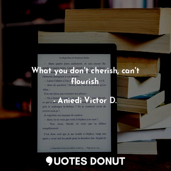  What you don't cherish, can't flourish... - Aniedi Victor D. - Quotes Donut