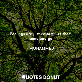  Feelings are just visitors. Let them come and go... - @MOHAMMED - Quotes Donut