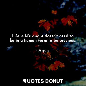 Life is life and it doesn't need to be in a human form to be precious.