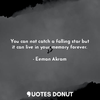  You can not catch a falling star but it can live in your memory forever.... - Eeman Akram - Quotes Donut