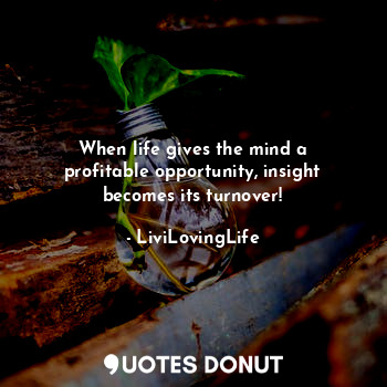 When life gives the mind a profitable opportunity, insight becomes its turnover!