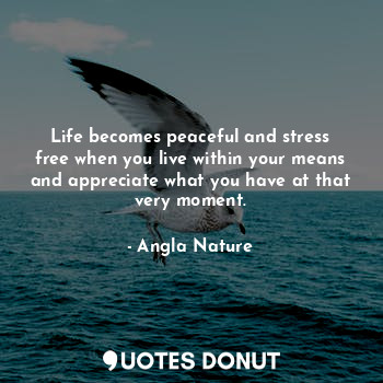 Life becomes peaceful and stress free when you live within your means and appreciate what you have at that very moment.