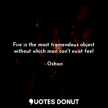 Fire is the most tremendous object without which man can't exist feel