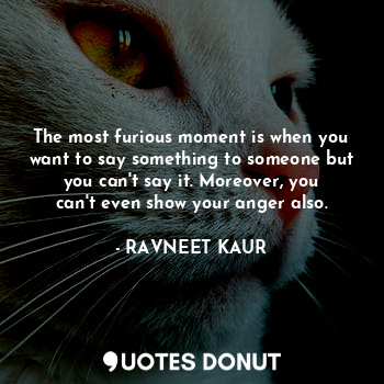  The most furious moment is when you want to say something to someone but you can... - RAVNEET KAUR - Quotes Donut