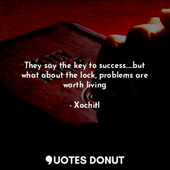 They say the key to success.....but what about the lock, problems are worth living