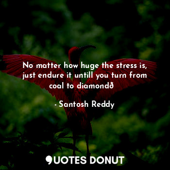 No matter how huge the stress is, just endure it untill you turn from coal to di... - Santosh Reddy - Quotes Donut